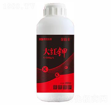 ��t�-��İ�S-�ذ�����