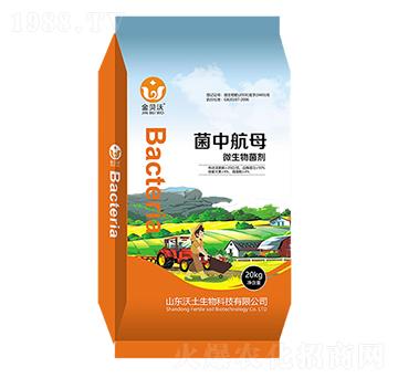 ΢�������-���N��ĸ-��ؐ��-����