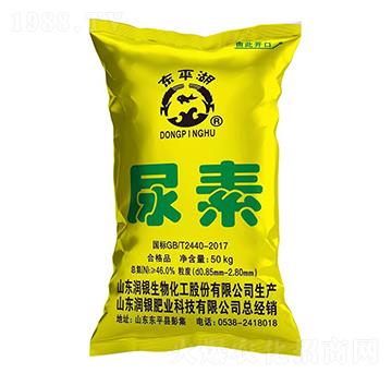 ����-�|ƽ��-��(r��n)�y����