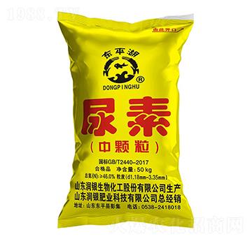 ���w������-�|ƽ��-��(r��n)�y����