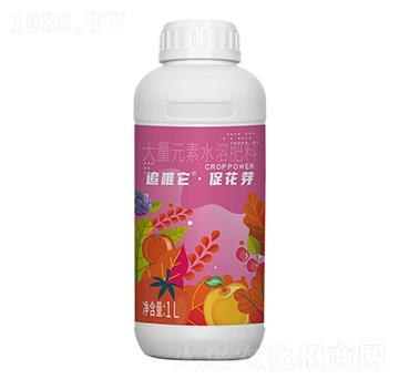 追唯它促花芽-鄉(xiāng)喜