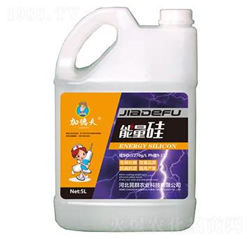 ������-�ӵ·�-��Ⱥ�r�I(y��)