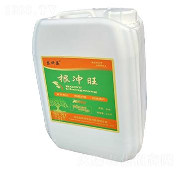 ���_��-��˹��