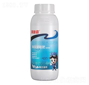 海藻聚能肥(膨果型)-聚膨霸-瀚正益農(nóng)