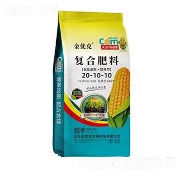 ��������������͏ͺϷ���20-10-10-����(y��u)��