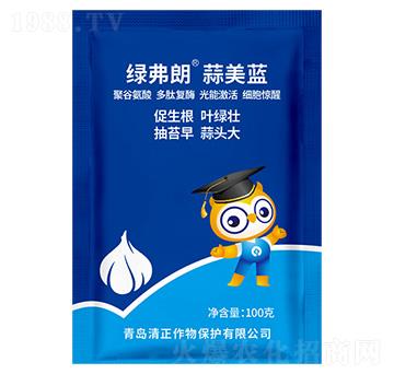 �����{(l��n)-�G����-��������