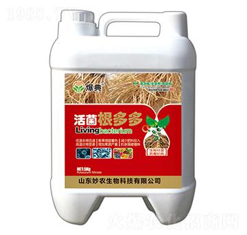 ��������-����-���r(n��ng)����