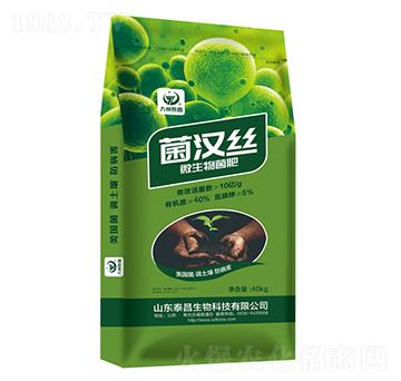 ���h�z΢�������-��̩����