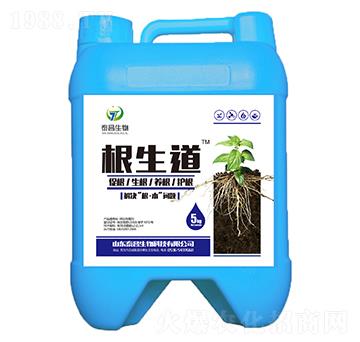 ������-��̩����