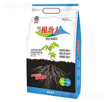 ���Ŵ�-΢�������-��ï����