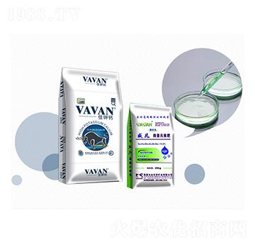 ��������ˮ���Է���-�Kӯ(li��n)���B(t��i)