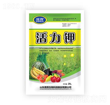 �����-��������