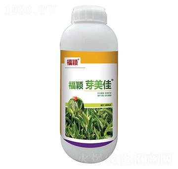 ���fѿ����-��������