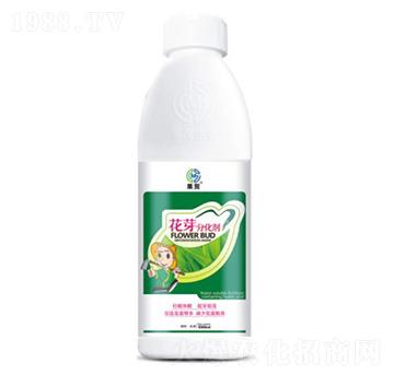 ��ѿ�ֻ���-��ï����