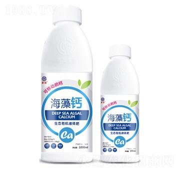 �����}-��ï����