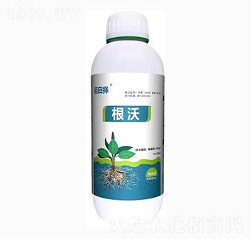 ����-�����-���SԴ