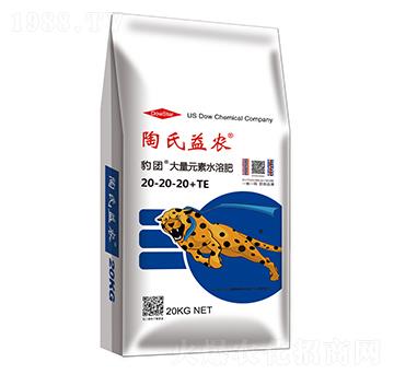 ����Ԫ��ˮ�ܷ���20-20-20+MgO+TE-���F(tu��n)-�������r(n��ng)