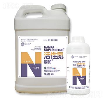 ��������Ե�-����