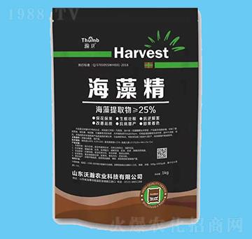 ���徫-��l(w��i)-����r(n��ng)�I(y��)