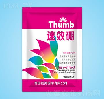 ���-����r(n��ng)�I(y��)