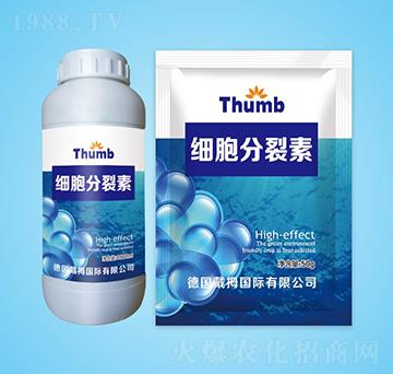 ��(x��)��������-����r(n��ng)�I(y��)