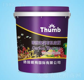 ̼ø�����ЙCҺ��-����r(n��ng)�I(y��)