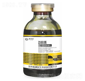 ��ϼ�������-���|-̩����