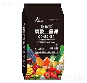 ��������-�W�R�S-��¶�����S