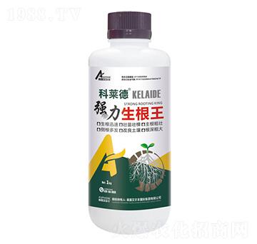 ��(qi��ng)��������-���R��-��¶�����S