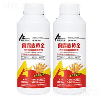 雨露麥黃金-雨露艾爾豐