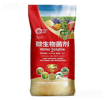 10�|���΢�������-����