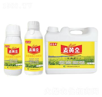 ���S��-�|����-���䌍�I(y��)