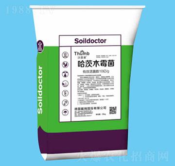 10�|�������ľù��-������-����r(n��ng)�I(y��)