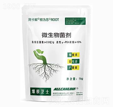 ΢�������-�����l(w��i)ʿ-��˹�r