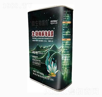 ����ø�⺣����-���{����-ǧ�~��400��-��˹�r