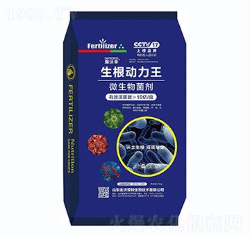 25kg΢�������-����������-�����S-�����_(d��)����