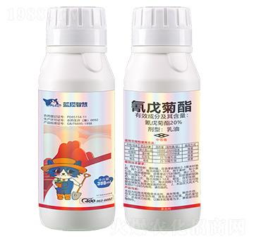 20%�����������-�{(l��n)؈�ǻ�