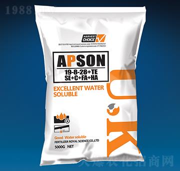 �������19-8-28+TE-������