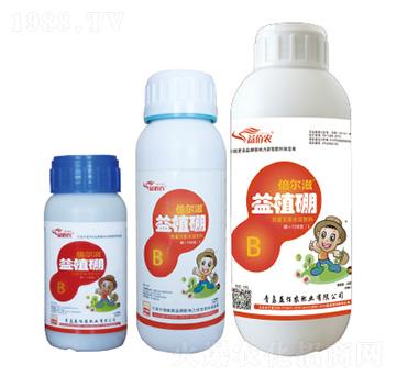 ���w��-��ֲ��-����r�ʘI(y��)