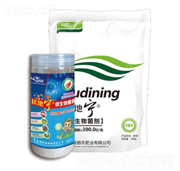 ΢������N-���،�-����r�ʘI(y��)