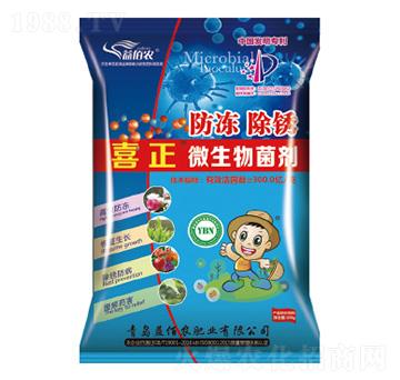 ΢�������-�������P-����r�ʘI(y��)