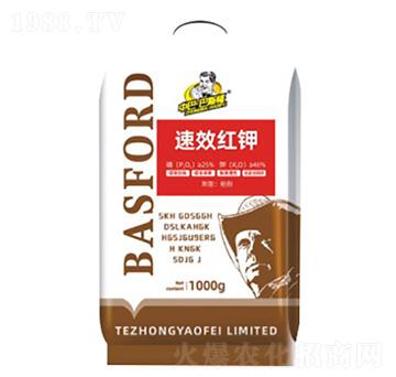 �t�-��˹��