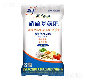 21%���������-���S���-���S�ʘI(y��)