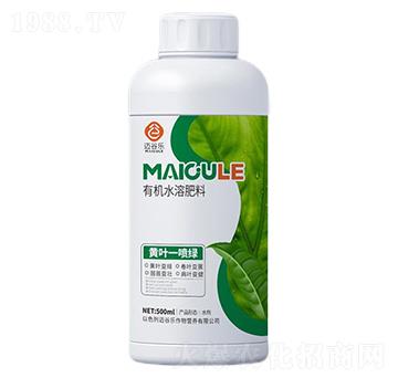 �S�~һ���G�ЙCˮ�ܷ���-�~�Ș�