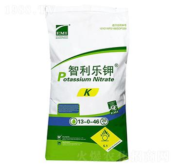 �������13-0-46-�Zؐ��