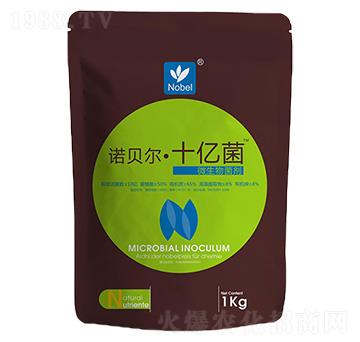 ʮ�|��΢�������-�Zؐ��