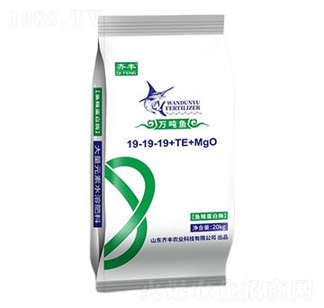 �~(y��)������ø����Ԫ��ˮ�ܷ�19-19-19+TE+MgO-�f(w��n)���~(y��)-�R�S�r(n��ng)�I(y��)