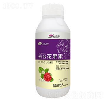 云臺花果素-云臺大化