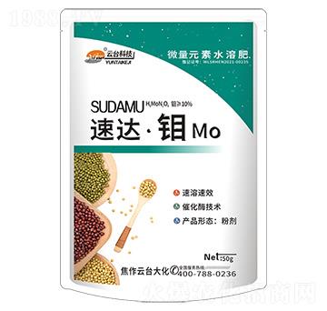 速達·鉬-云臺大化