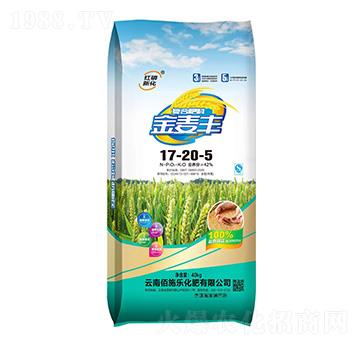 ��(f��)�Ϸ���17-20-5-�����S-��ʩ������